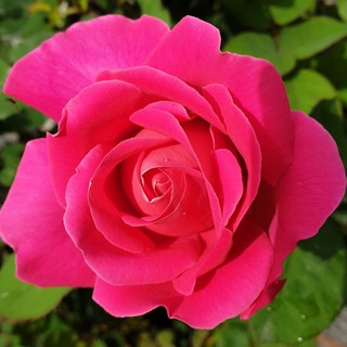 Telegram profile photo for سرای آگهی های شغلی