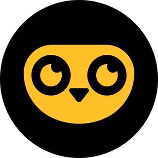 Telegram profile photo for dFuture Announcement