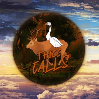 Telegram profile photo for THICC CALLS