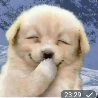 Telegram profile photo for Raj's vouch