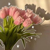 Telegram profile photo for pink tulip