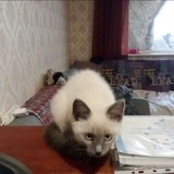 Telegram profile photo for Отзывы RIP_TIO