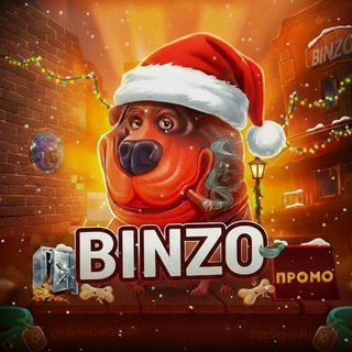 Telegram profile photo for Binzo