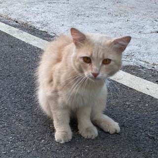 Telegram profile photo for отзывы yumé