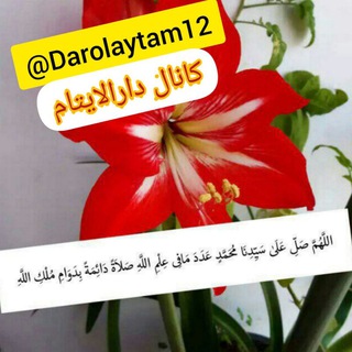 Telegram profile photo for دارالایتام