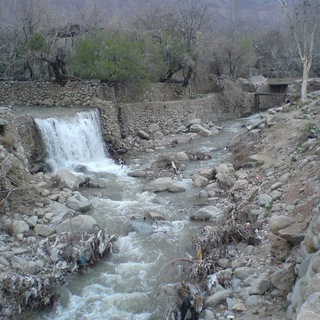Telegram profile photo for bonastanبنستان شیرکوه