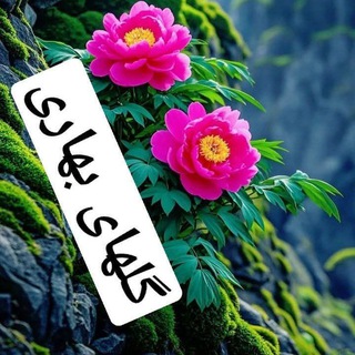 Telegram profile photo for گلهای بهاری💕