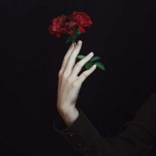 Telegram profile photo for Amor et angor.
