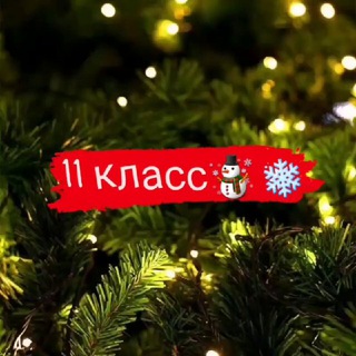 Telegram profile photo for Помогайка 11класс