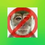 Telegram profile photo for сатоши ловит максвин