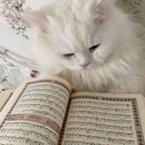Telegram profile photo for الآ بذكر الله تطمئن القلوب🤍.