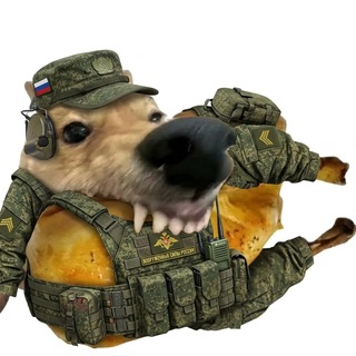 Telegram profile photo for Тамоеч