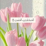 Telegram profile photo for لـہَٖ اެيُـۅتِه🎀🌷.