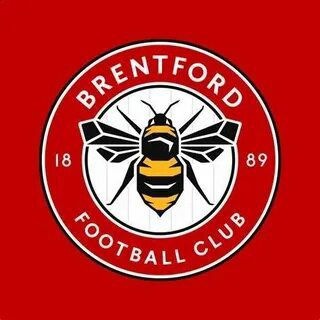 Telegram profile photo for West London Hive | Brentford FC