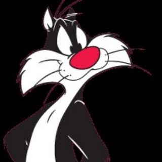 Telegram profile photo for Silvestre safe calls