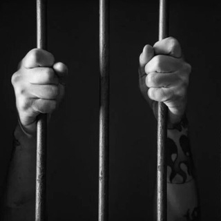 Telegram profile photo for Owner arrested