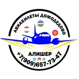 Telegram profile photo for АВИАКАССА ДОМОДЕДОВО АЛИШЕР