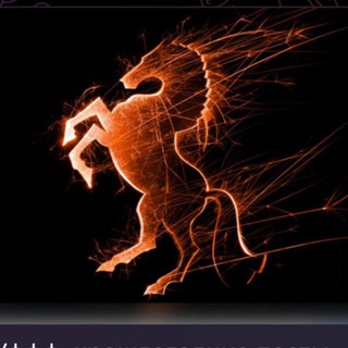 Telegram profile photo for 1337