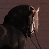 Telegram profile photo for Reygen_13