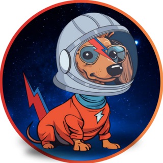 Telegram profile photo for Bowie - Elon Musk's Space Dog Portal