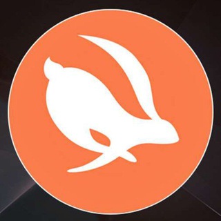 Telegram profile photo for Turbo VPN Premium