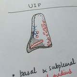 Telegram profile photo for Chest& CVS Imaging Notes,Quizes&Polls