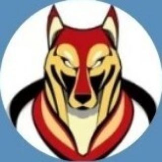 Telegram profile photo for 广州狼友出击大队🐺