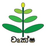 Telegram profile photo for වෘක්ෂ - WRUKSHA