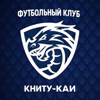 Telegram profile photo for Футбольный клуб КНИТУ-КАИ
