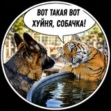 Telegram profile photo for Вот такая вот хуйня, собачка