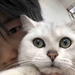 Telegram profile photo for 信誉频道-盼富婆