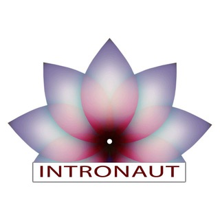 Telegram profile photo for Intronaut Concierge