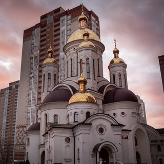Telegram profile photo for СКОРОПОСЛУШНИЦЯ