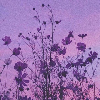 Telegram profile photo for سَيْمـاء .. 💜