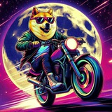 Telegram profile photo for DOGEBOY | CTO