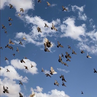 Telegram profile photo for وَلَسَوْفَ يُعْطِيكَ رَبُّكَ فَتَرْضَى ☁️💕.