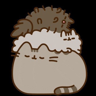 Telegram profile photo for Теория мёртвого полушария 