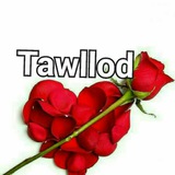 Telegram profile photo for TAW🎂LLOD