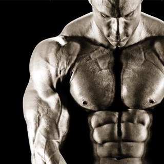 Telegram profile photo for Bodybuilding & Fitness Books ebooks