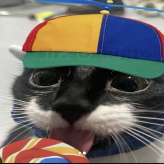 Telegram profile photo for Пошли нахуй на каждый день