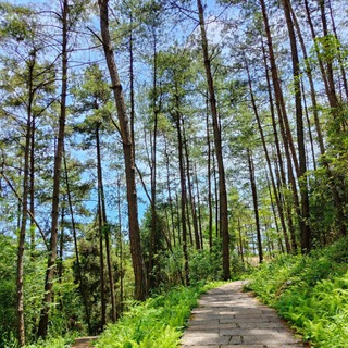 Telegram profile photo for 百舸争流 行情分享