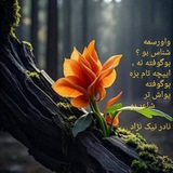 Telegram profile photo for 🌻یادِ یادگاران