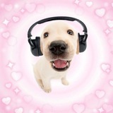 Telegram profile photo for πΒ¦ πΓΊπ¬π’ππ πππ¦ π
π«π¨π§πππ’π«ππ¬