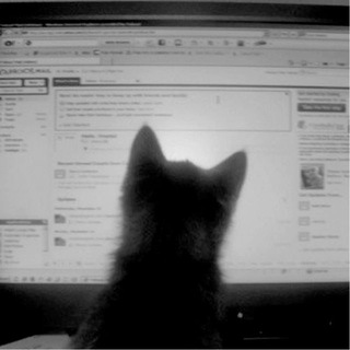 Telegram profile photo for сигны от вивьена.