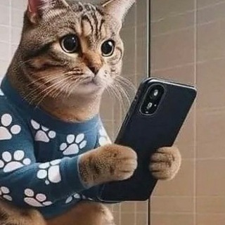 Telegram group profile photo for Swiss Vatnik Chat