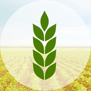 Telegram profile photo for Сельхоз и агропром