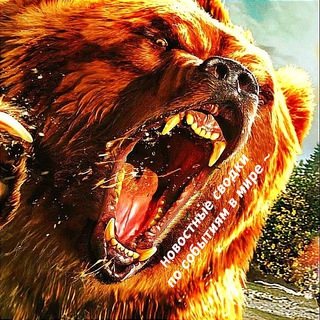 Telegram profile photo for Новости | СВО | Закавказье | Ближний Восток