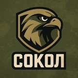 Telegram profile photo for Проект «Сокол»