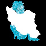 Telegram profile photo for میکروبیولوژی،شهرقدس️