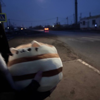 Telegram profile photo for казахстан 2007